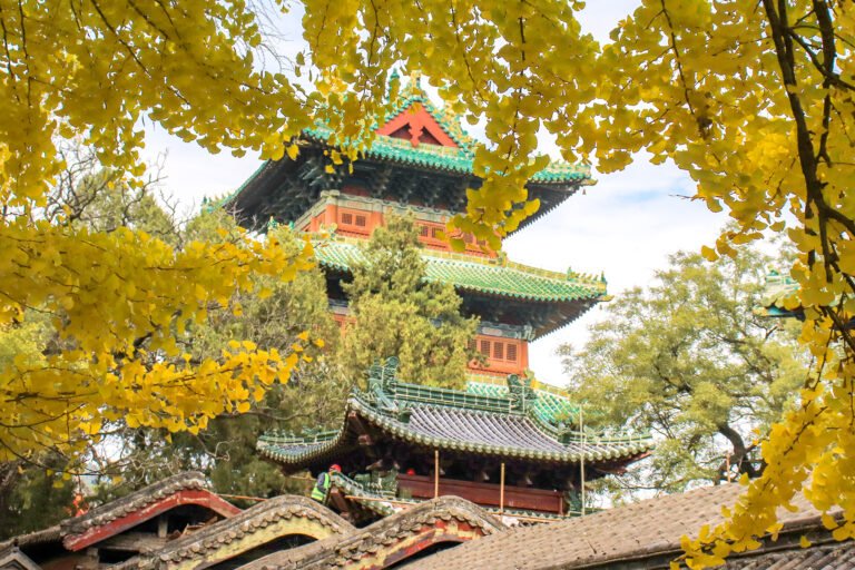 Shaolin Temple