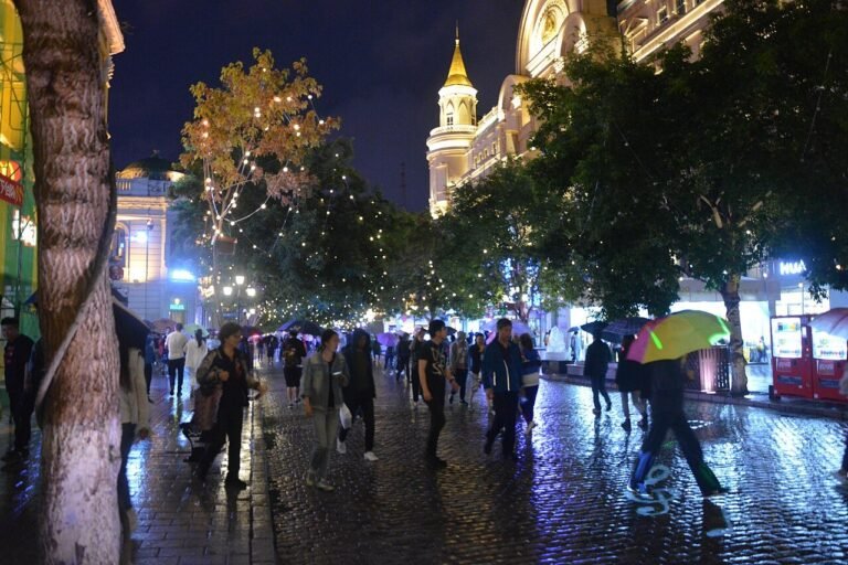 201906 Harbin Central Street at night 02.jpg