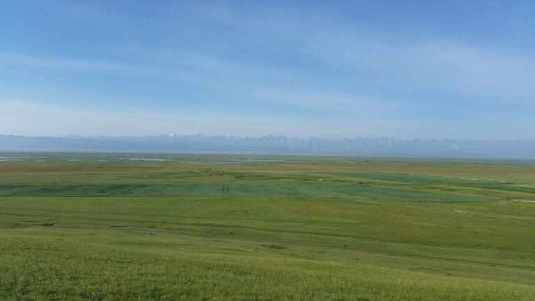 Bayan-Bulak-Kaidu.jpg
