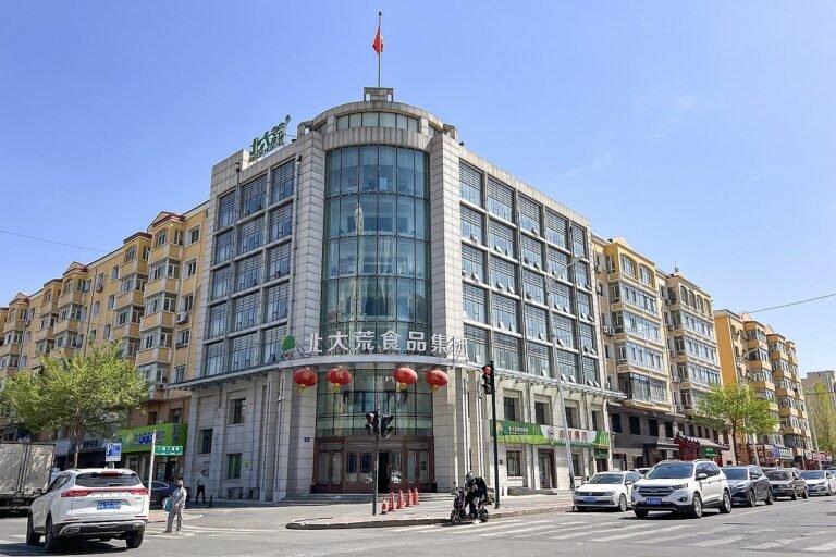 Beidahuang Food Group headquarters (20240502125812).jpg