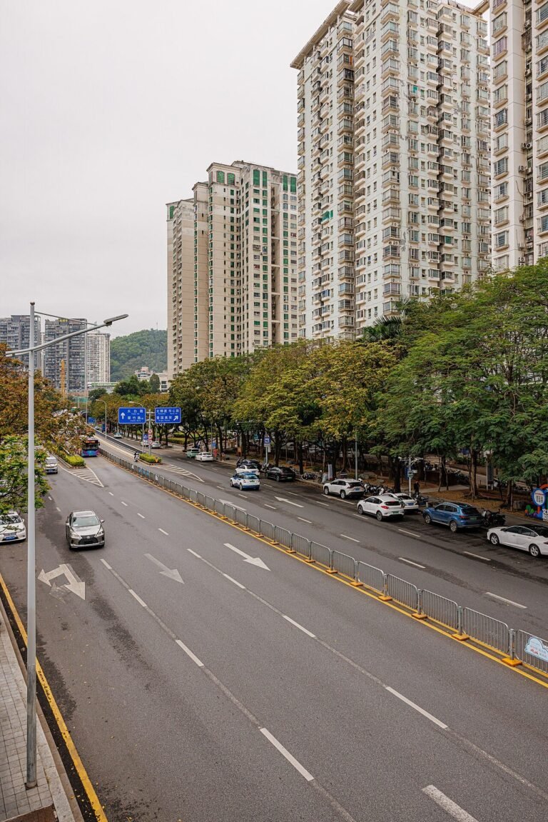 CUIZHU ROAD, SHENZHEN (33).jpg