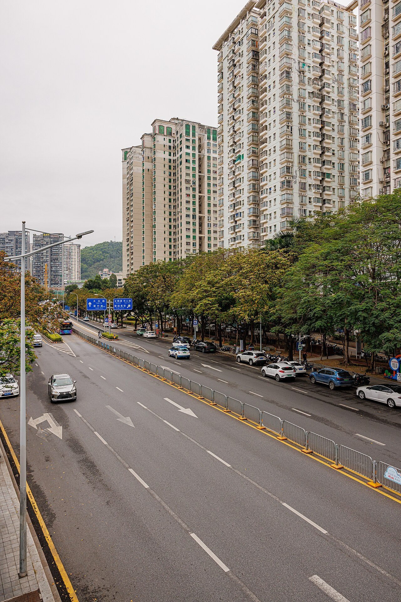 CUIZHU ROAD, SHENZHEN (33).jpg