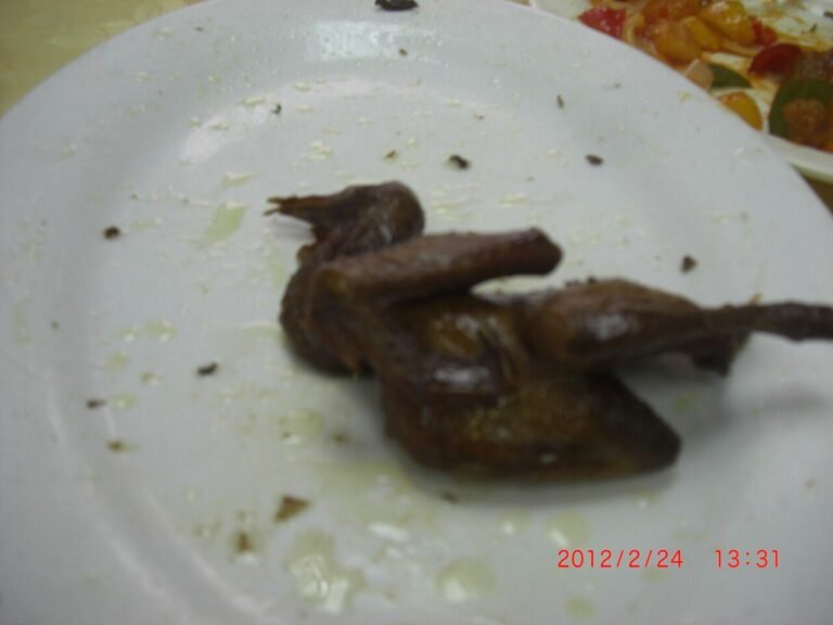 Chinese Food - Pigeon.JPG
