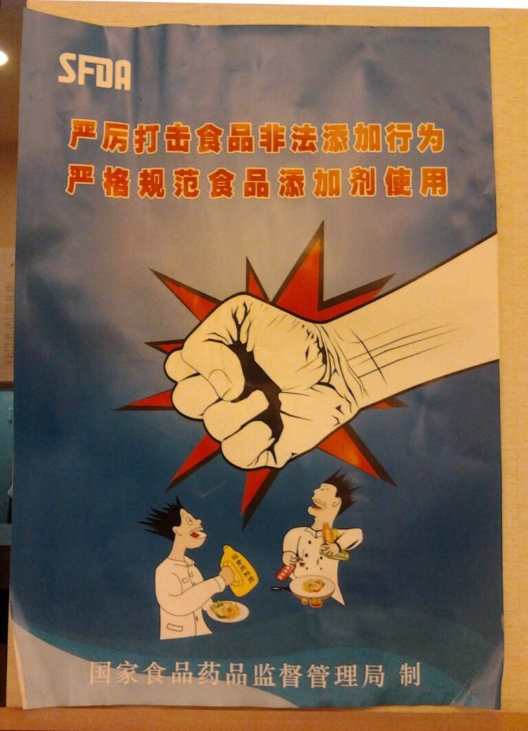 Chinese Food Safety Poster.jpg