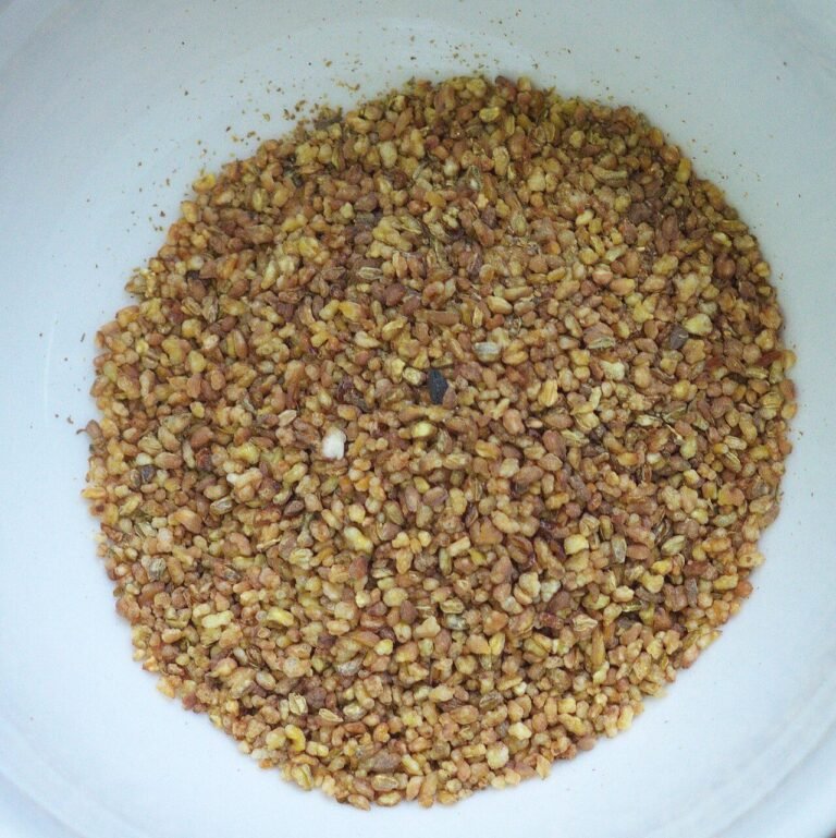 Grains de fagopyrum tataricum.jpg