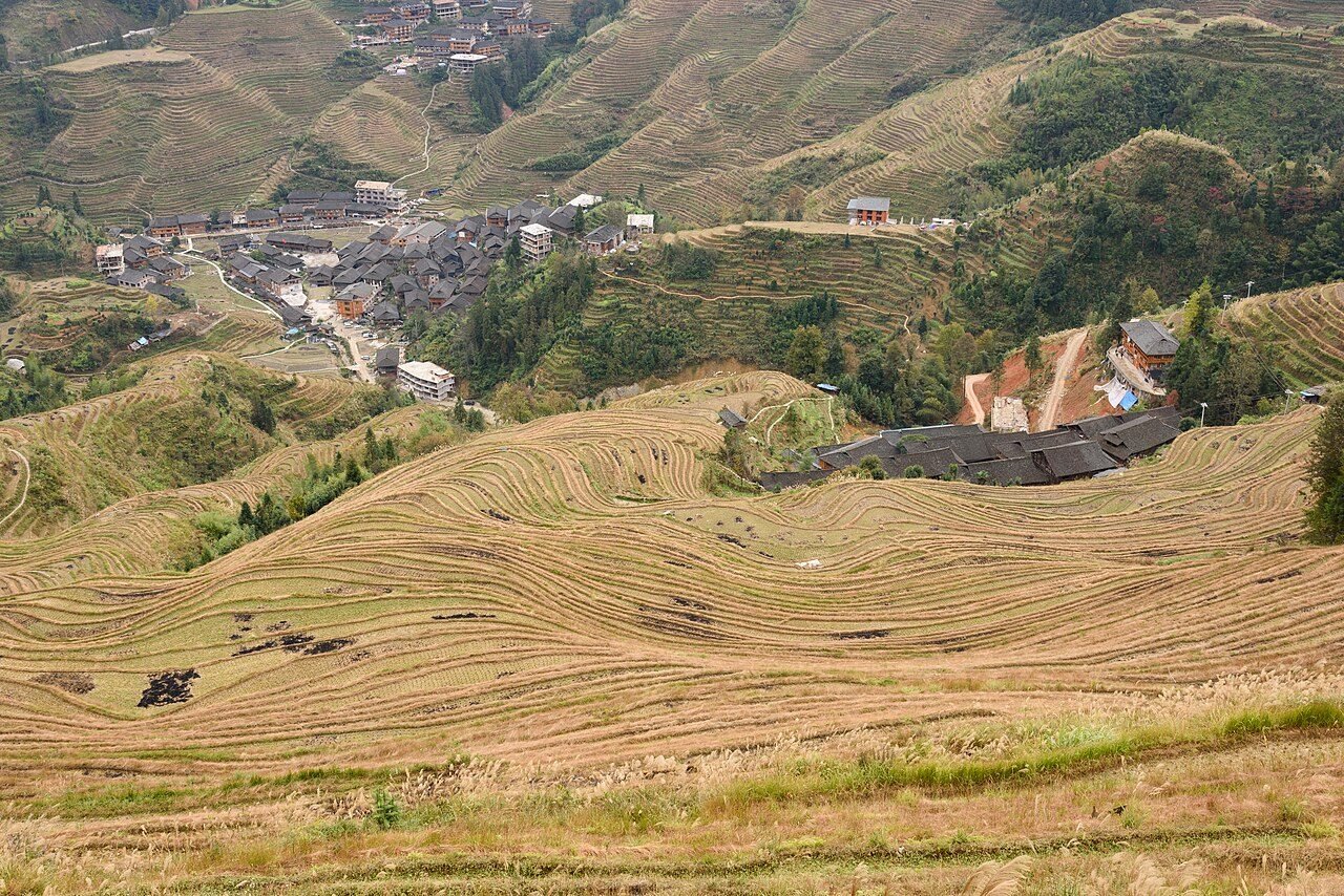 Longsheng Rice Terraces November 2017 001.jpg