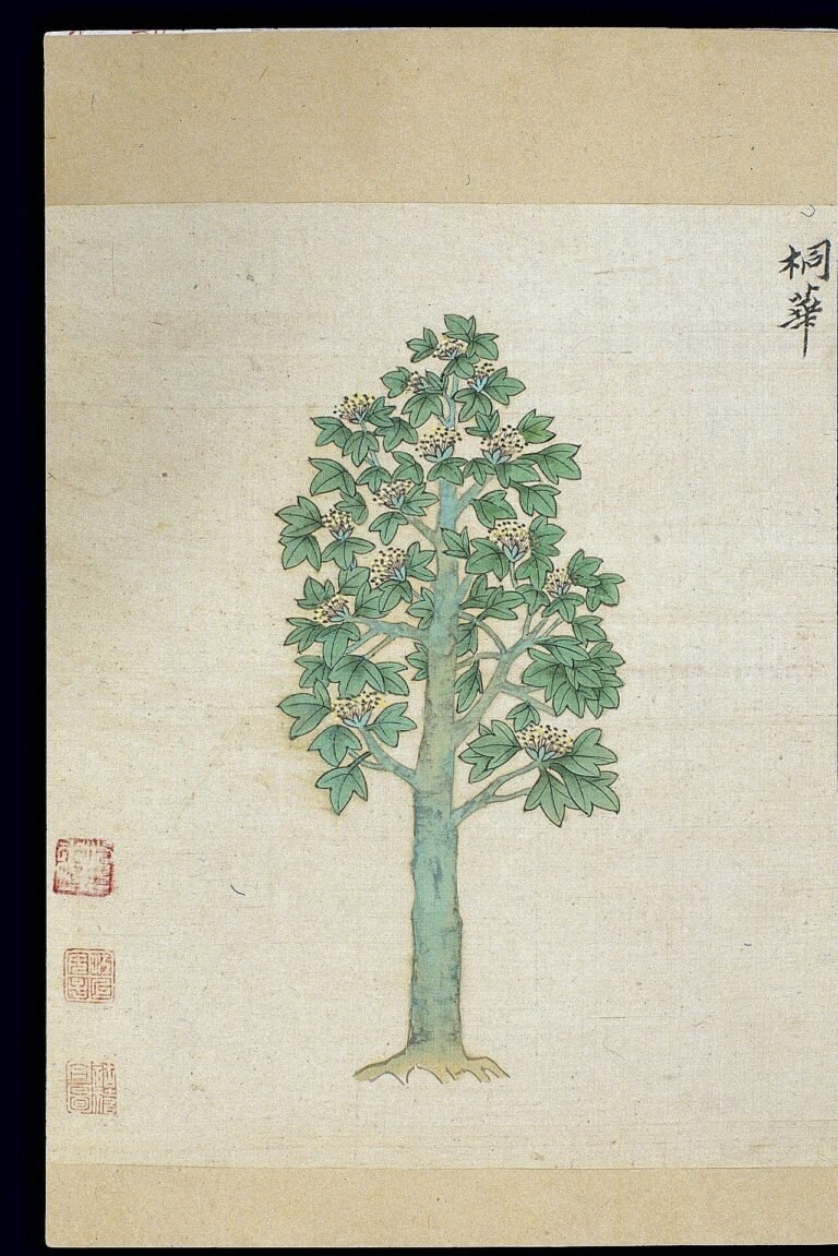 Ming herbal (painting)
