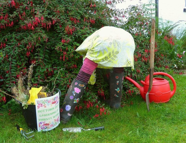 Poppleton Scarecrow Trail 9 September 2023 (12).JPG