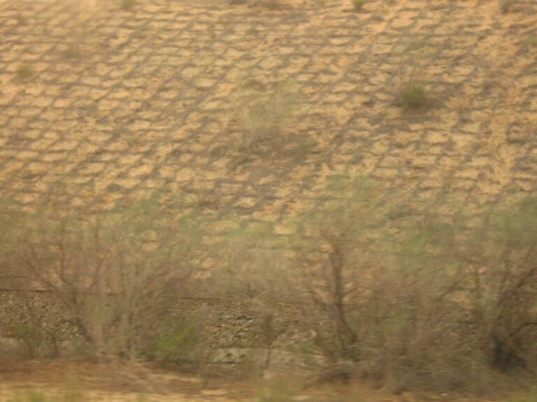 Shapotou, Tengger Desert, 沙坡头 - panoramio.jpg