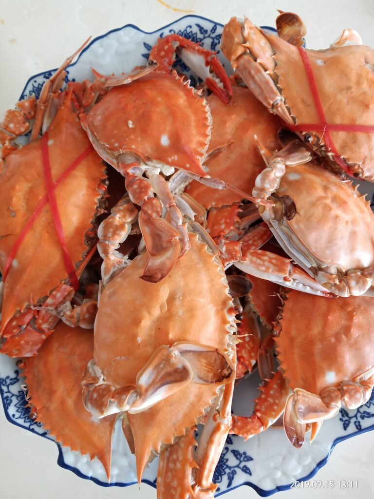 China food festivals