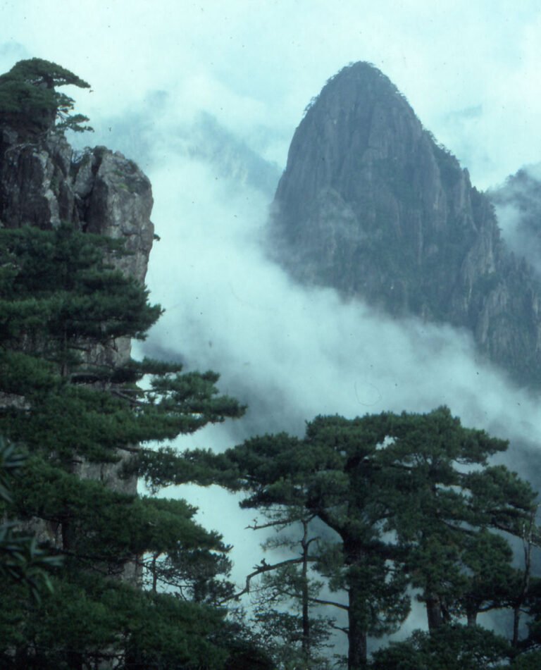Huangshan Yellow Mountain guide