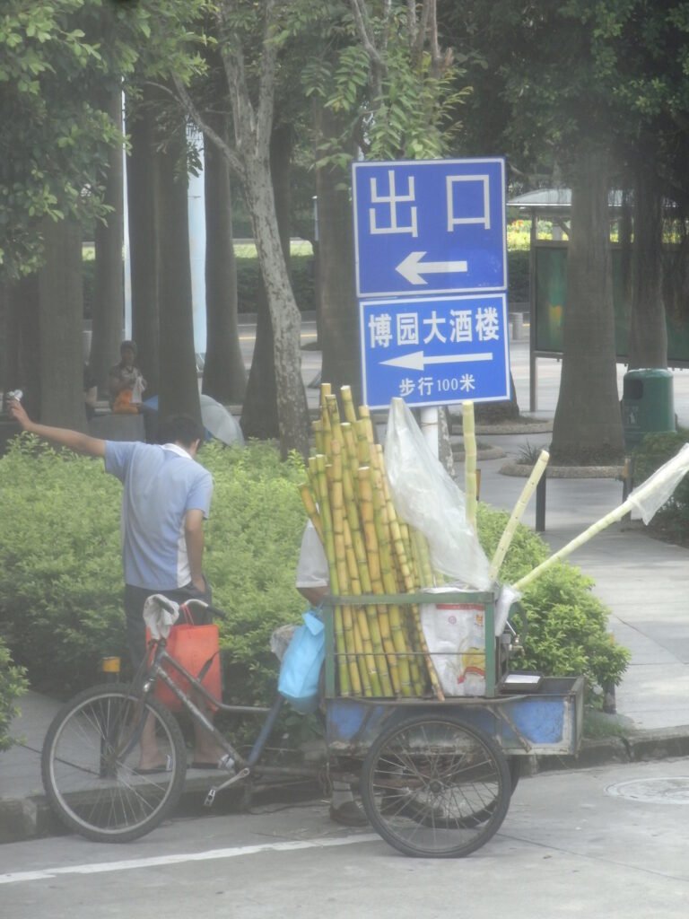 Chinese street food tour