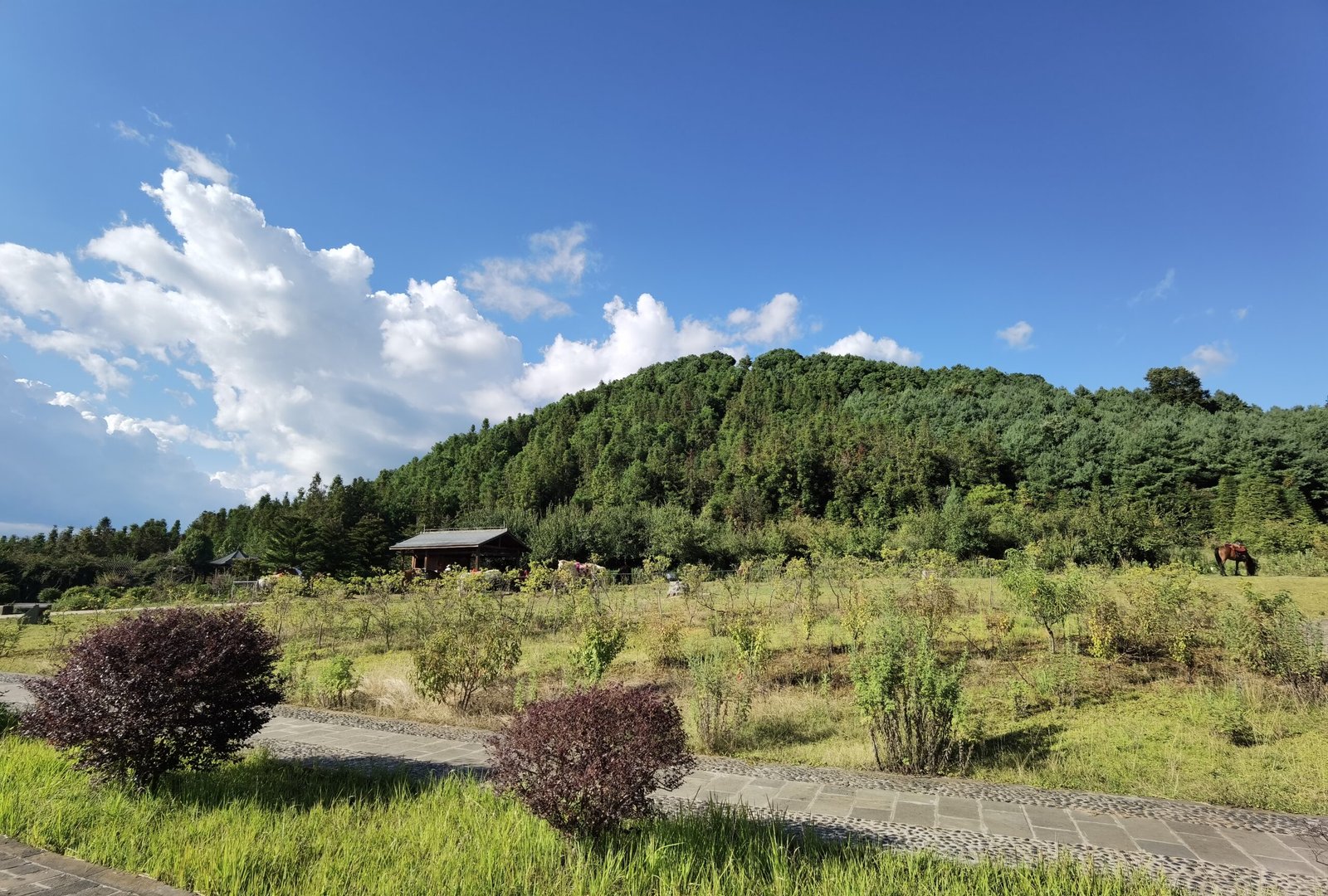 Tengchong volcano Yunnan